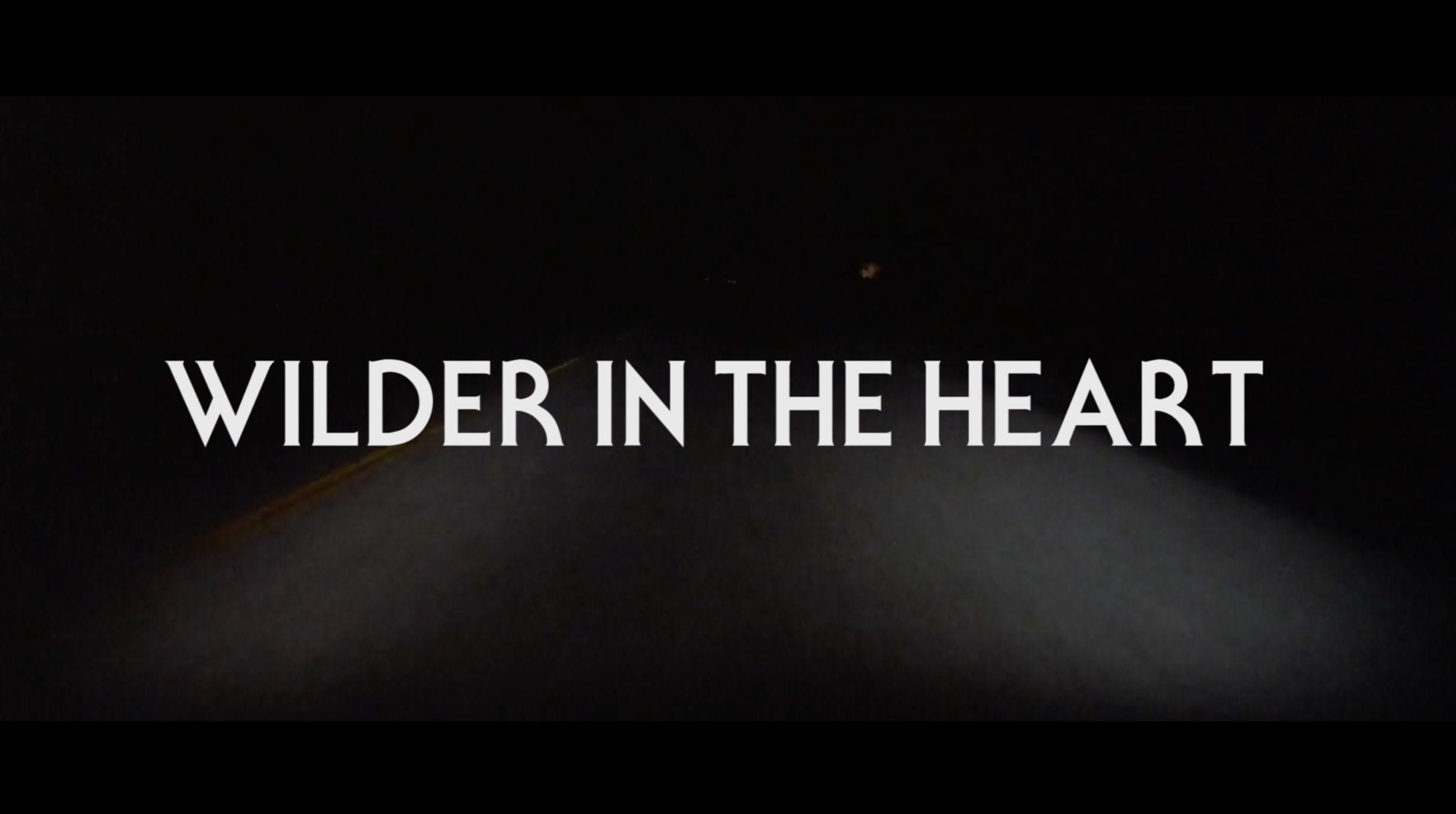 Butch Walker - Wilder in the Heart (lojinx)